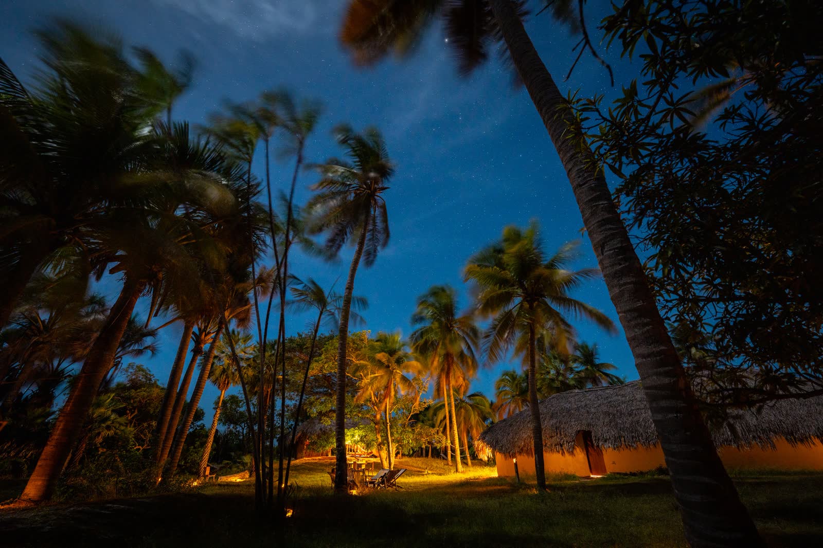 Jardim Noite